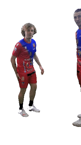 GFCA Handball Sticker