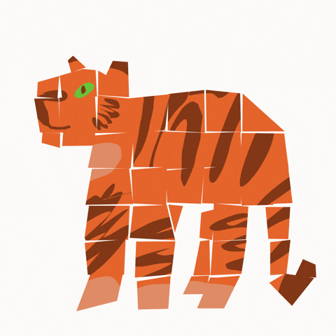 Big Cat GIF