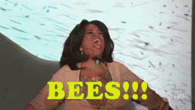 Image result for bees! gif oprah