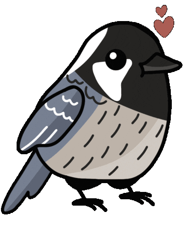 Bird Vogel Sticker by mahoniemoni