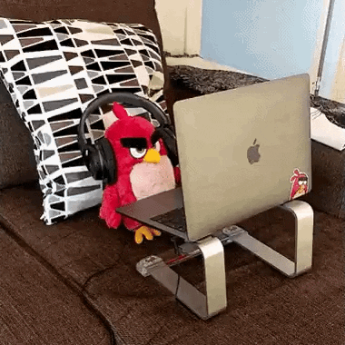 Angry Red Bird GIF by WTEDRadio