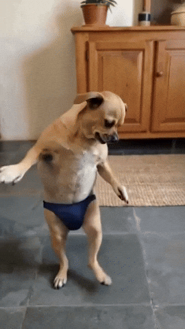Animated GIF