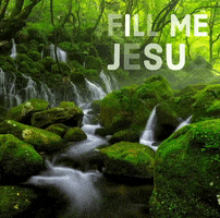 Jesus Yes Amen GIF