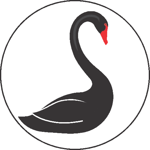 Realtor Realtorlife Sticker by Black Swan Home Group