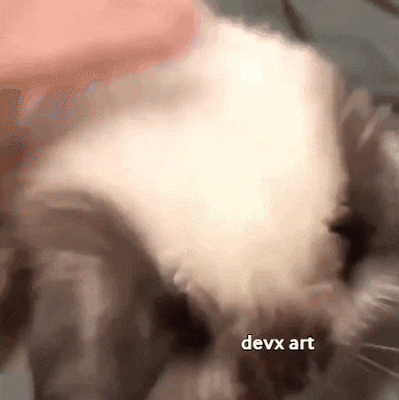 Cat Looking GIF by DevX Art