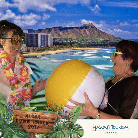 travel hawaii GIF