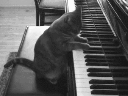 Black And White Piano GIFs - Get the best GIF on GIPHY