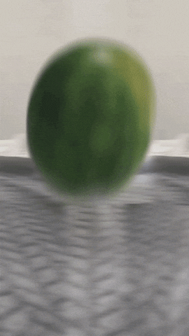 Watermelon Cat GIF