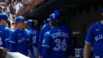Blue Jays Baseball GIF by Toronto Blue Jays