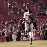 Fight On College Football GIF by BLVD Studios