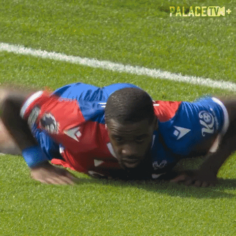 Premier League Wolves GIF by Crystal Palace Football Club