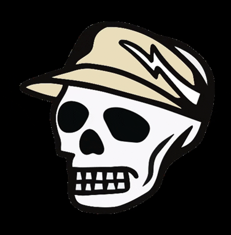 dvrxthreads skull dvrx dvrxthreads skullcaddy GIF