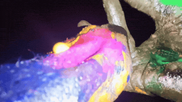 GIF by OAPEZE OFFICIAL COLLECTIBLES