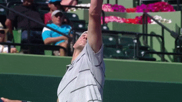 isner serve GIF by Tennis Channel