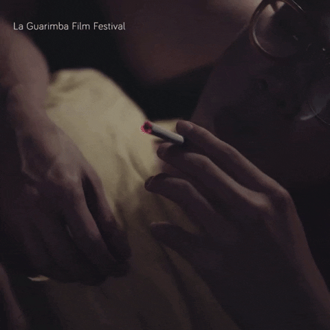 Hold My Hand Love GIF by La Guarimba Film Festival