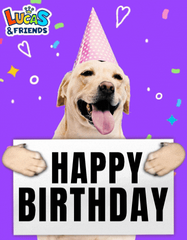 Video gif. Edited on a purple background with cute doodles, a golden retriever wearing a party hat holds up a sign that says, "Happy Birthday" while its tongue sticks out happily. 