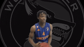 Sport Win GIF by Worcester Wolves