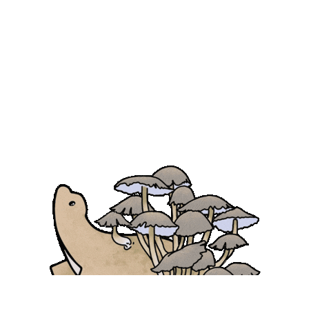 Kawaii Sticker