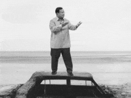 Prabowo Sawit GIF