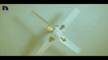 shakimahmmed  GIF