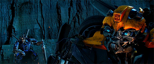 Bumblebee GIF - Find & Share on GIPHY