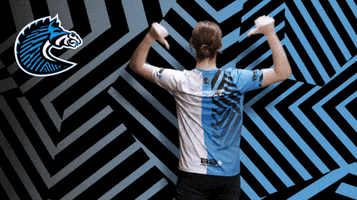 Zebras GIF by BS+COMPETITION
