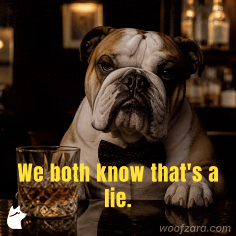 Bow Tie Friendship GIF by Woofzara