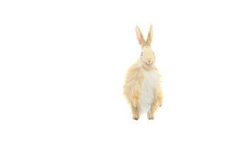 Happy Dance Sticker by OTTOKE MEDIA