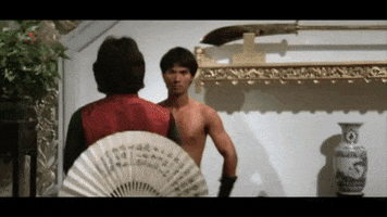 martial arts the magnificent ruffians GIF by Shaw Brothers
