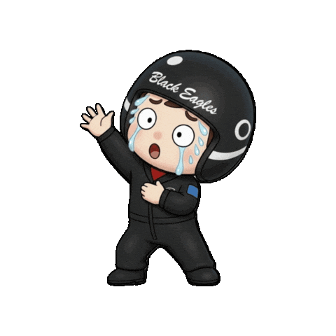 Flight Aviation Sticker