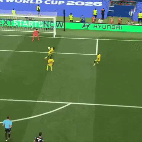 Fifa World Cup Football GIF