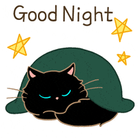 Cat Goodnight GIFs - Find & Share on GIPHY