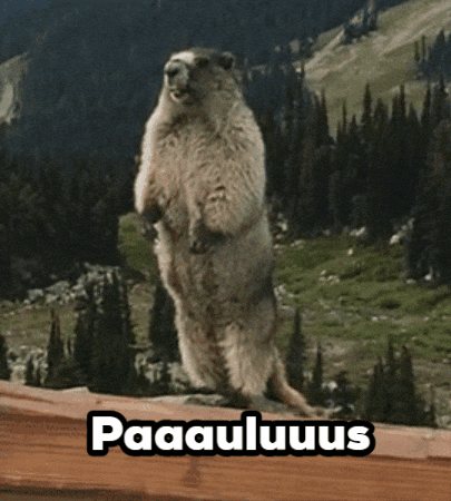 Beachboys Paulus GIF