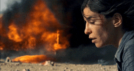 Fire Destruction GIF by CanFilmDay