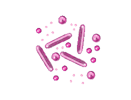 Fashion Cake Sticker