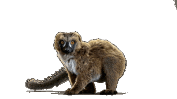 Maki Aida Sticker by AIDA_Cruises