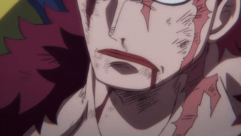 291 One Piece Gifs - Gif Abyss