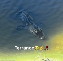 Son Terrance GIF