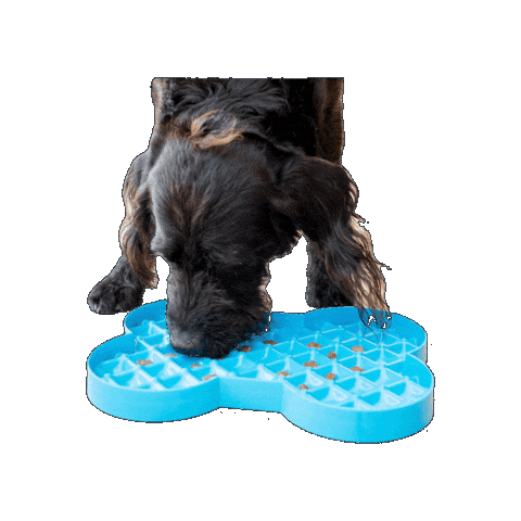 Slowfeeder Sticker by LickiMat