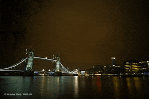london night GIF by Earth Hour