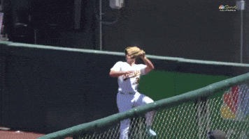Sport Baseball GIF by MLB