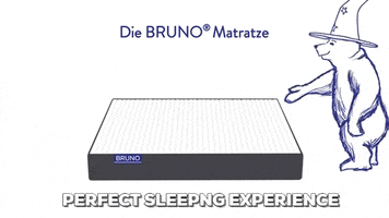 bear sleeping GIF by Bruno