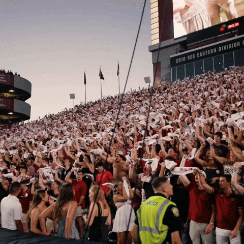 South Carolina Football GIF by Gamecock Athletics
