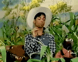 Image result for prince on the muppets