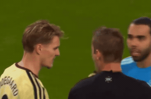 Arsenal Sunderland GIF by memes