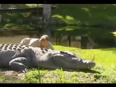 giphy-downsized-large.gif