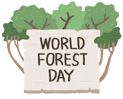 Tree Forest Sticker by Hutanituindonesia