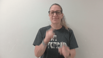 Sarcasm Irony GIF