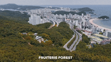 달맞이카페 GIF by Fruiterie Forest Busan