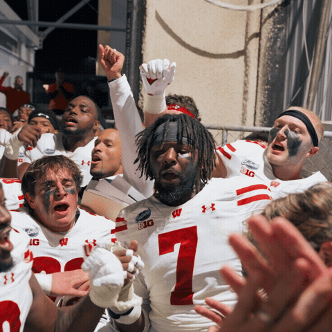Celebrate College Football GIF by Wisconsin Badgers